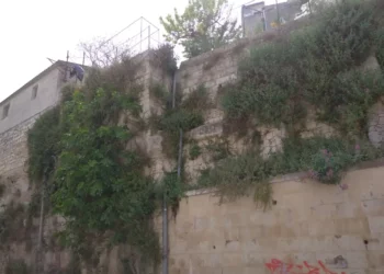 Scorci di Ragusa Ibla con sterpaglie