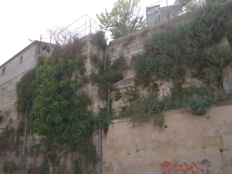 Scorci di Ragusa Ibla con sterpaglie