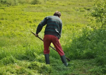 Ragusa, ordinanza per manutenzione suoli agricoli: le regole dal 15 giugno