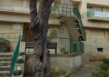 Ragusa, rimosso albero pericolante