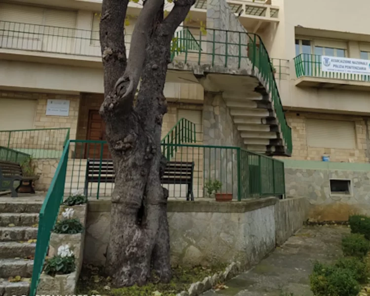 Ragusa, rimosso albero pericolante