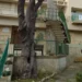 Ragusa, rimosso albero pericolante