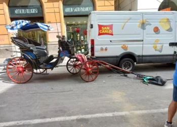 Turista ubriaco molesta cavallo, imbizzarrito travolge tutto in una corsa incontrollata