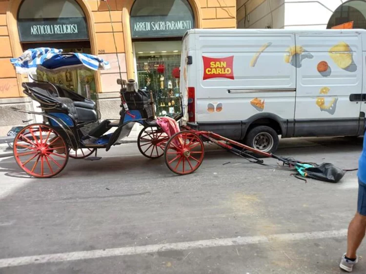 Turista ubriaco molesta cavallo, imbizzarrito travolge tutto in una corsa incontrollata
