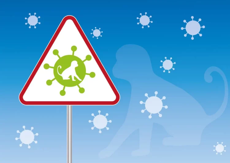 Vaiolo delle scimmie, allarme Oms: il rischio per Paesi non endemici è reale