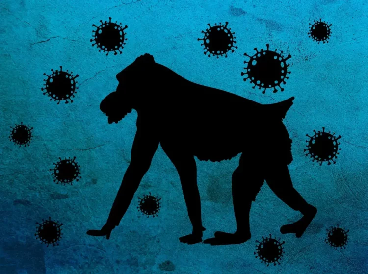 Primo caso di vaiolo delle scimmie in Sicilia