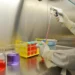 Vaiolo scimmie, virus nello sperma: scoperta allo Spallanzani