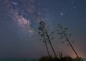 La Via Lattea sulle Agavi tra Sampieri e Cava d'Aliga