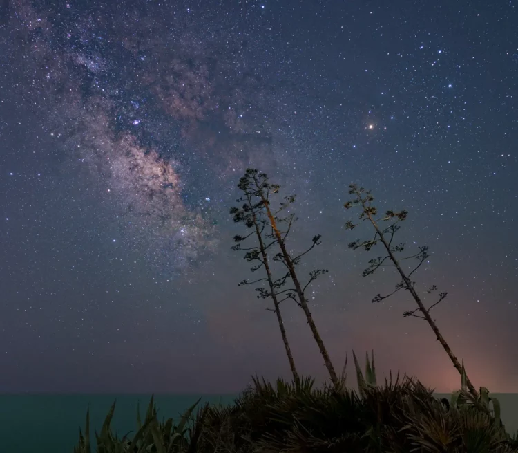 La Via Lattea sulle Agavi tra Sampieri e Cava d'Aliga