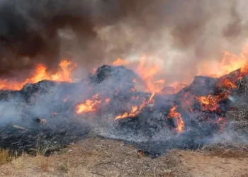 Vittoria, sanzioni a chi brucia rifiuti agricoli