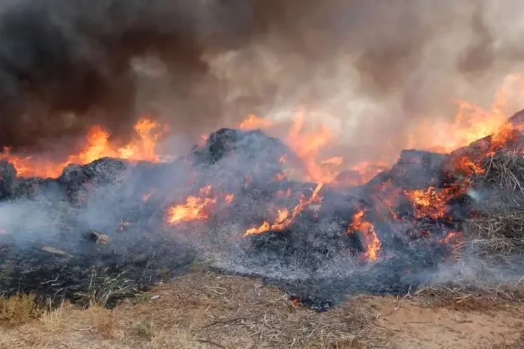 Vittoria, sanzioni a chi brucia rifiuti agricoli