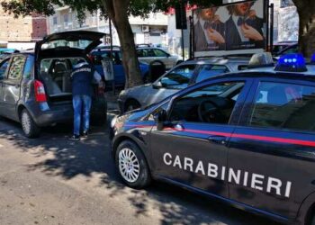 Bambina di 5 anni rapita nel Catanese