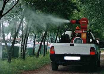 Disinfestazione Modica: ecco i giorni e dove