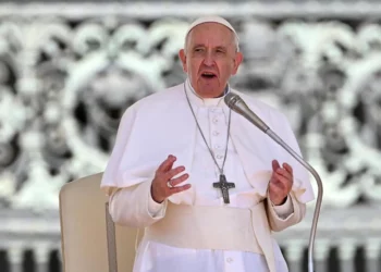 Papa: utero in affitto è una pratica inumana: donne sfruttate e bambini come merce