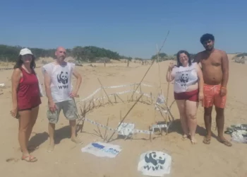 Trovato nido di Caretta caretta nel Ragusano