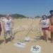 Trovato nido di Caretta caretta nel Ragusano