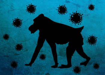 Vaiolo delle scimmie in Sicilia