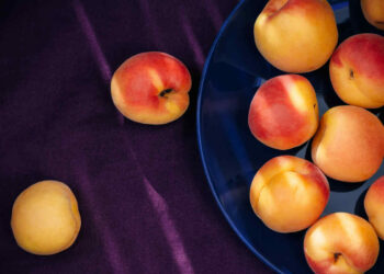 Le ablicocche si possono mangiare a dieta