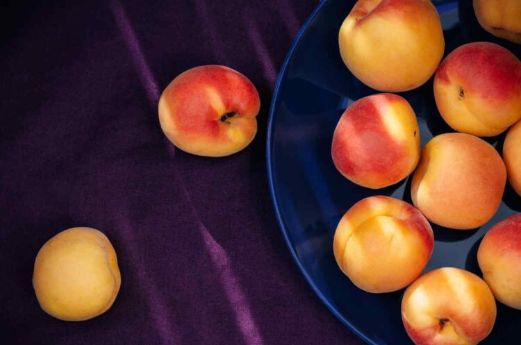 Le ablicocche si possono mangiare a dieta