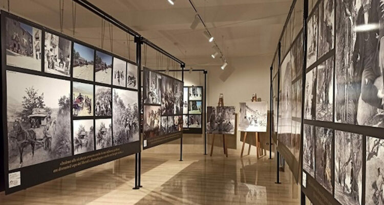 Le Notti di BCsicilia