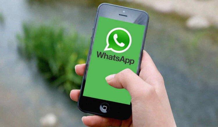 Come entrare sul mio WhatsApp da un altro cellulare