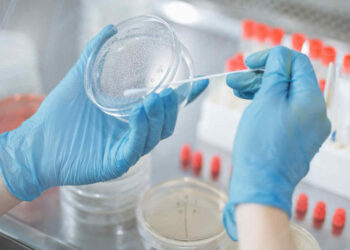 Covid Italia, Sestilli: picco contagi fra 15 giorni