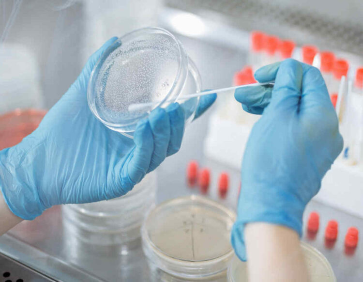 Covid Italia, Sestilli: picco contagi fra 15 giorni