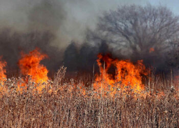 Incendi a Ragusa, circa un centinaio gli interventi dei vigili del fuoco