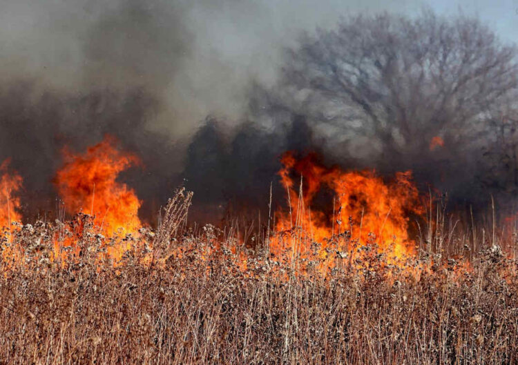 Incendi a Ragusa, circa un centinaio gli interventi dei vigili del fuoco