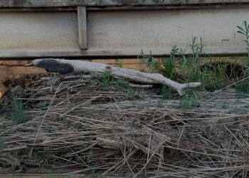 canali, sottopassi e torrenti