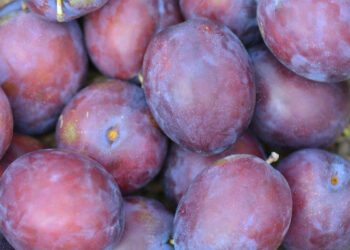 Le prugne alleate del cuore e della salute