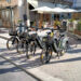 Mobilità sostenibile: a A Modica 100 bike-sharing
