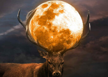 La Superluna del cervo a luglio, sarà la più spettacolare del 2022: ecco quando