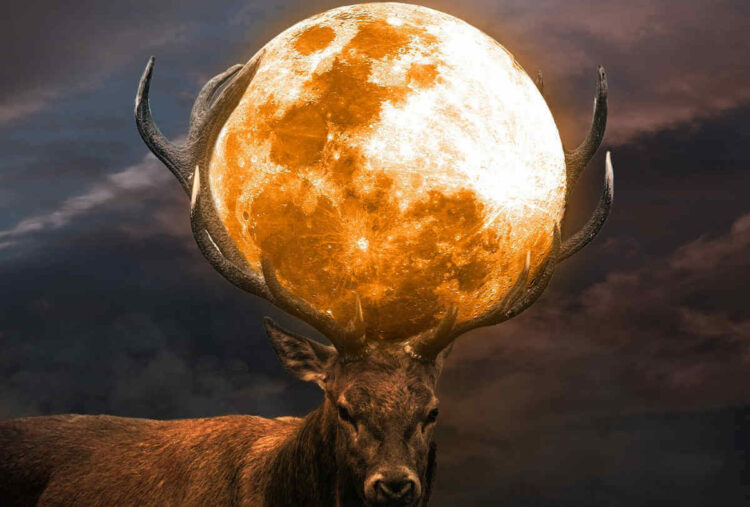 La Superluna del cervo a luglio, sarà la più spettacolare del 2022: ecco quando