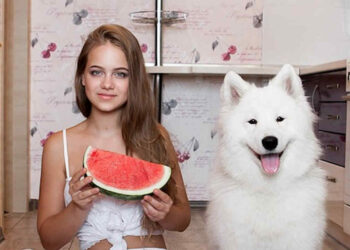 I cani possono mangiare l'anguria?