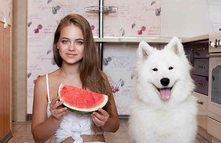 I cani possono mangiare l'anguria?