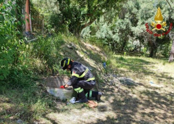 Bimba di 7 anni cade in un pozzo di 15 metri: salvata