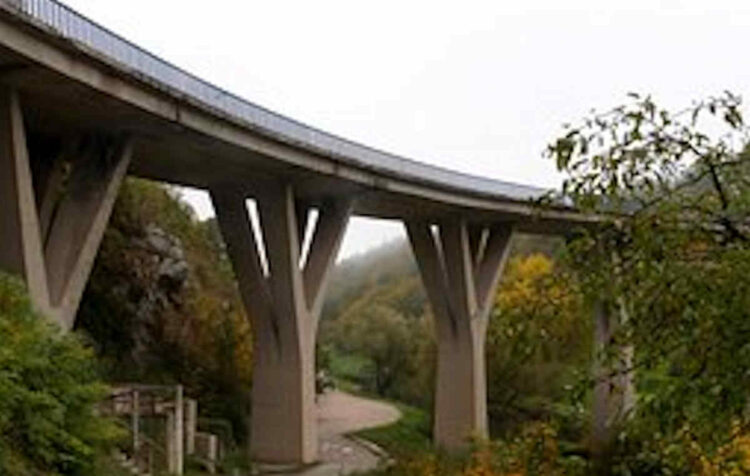 Il conducente di un carro attrezzi è morto in un incidente avvenuto sul raccordo Perugia-Bettolle dove il mezzo è precipitato da un cavalcavia alle porte del capoluogo umbro. L'uomo, della zona, è morto sul colpo. Sulle cause dell'incidente sono in corso accertamenti della polizia stradale. Dopo un volo di diverse decine di metri, il mezzo è finito in un terreno sottostante al raccordo. Non lontano da un'altra strada, nella zona di via Settevalli. L'incidente è avvenuto tra gli svincoli di Prepo e San Faustino lungo la carreggia verso Bettolle. Il mezzo ha divelto le barriere laterali del viadotto 'Settevalli' finendo nell'area sottostante. Sul posto sono intervenuti oltre alla polizia stradale anche i vigili del fuoco, personale del 118 e i tecnici Anas. (