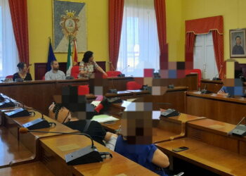 reddito di cittadinanza