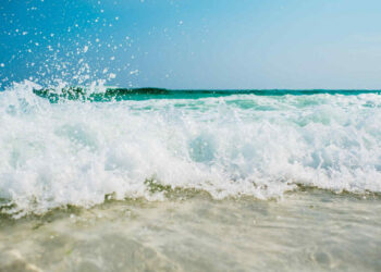 Divieto balneazione in spiagge Emilia per escherechia coli