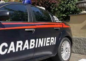 Italia: donna uccide il marito a coltellate e si costituisce