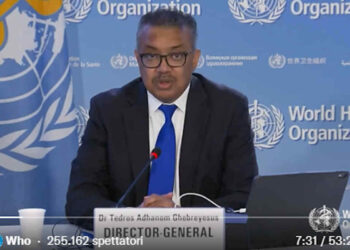 Oms dichiara lo stato di massima allerta per il vaiolo delle scimmie