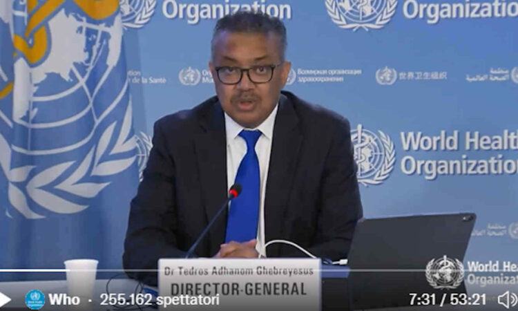 Oms dichiara lo stato di massima allerta per il vaiolo delle scimmie