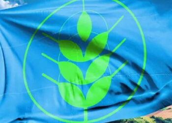 Ragusa perde le Spighe Verdi Fee, Fratelli d'Italia: l'Amministrazione chiarisca