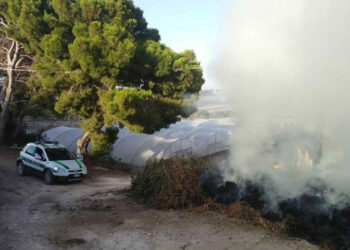 Lotta alle fumarole a Ragusa