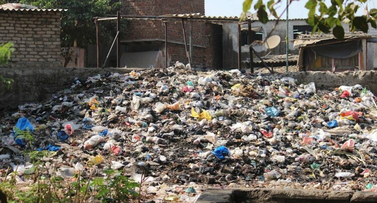 rifiuti indifferenziati