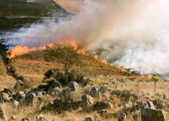 Allarme rischio incendi a Ragusa