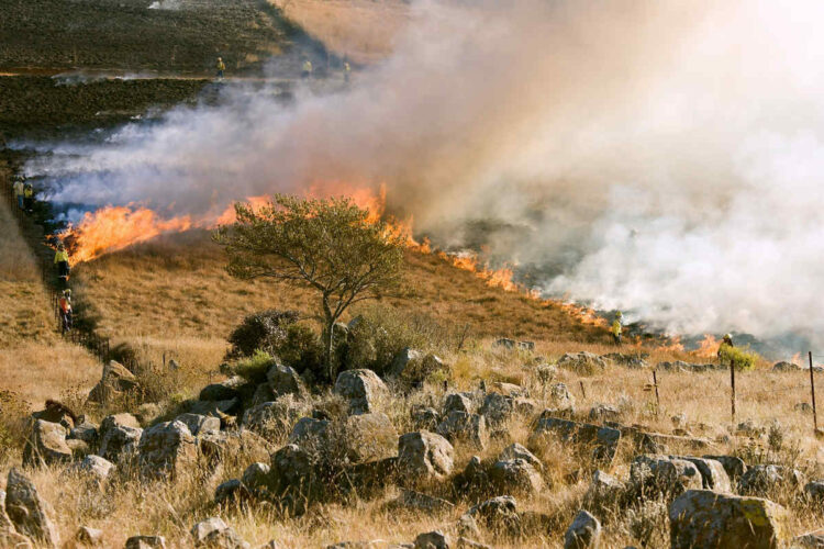 Allarme rischio incendi a Ragusa