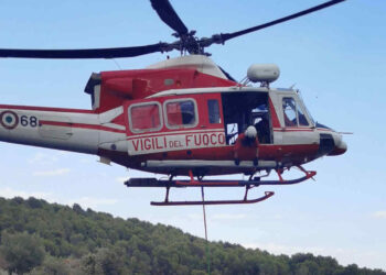 Scicli, salvato bovino caduto in una scarpata