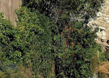 Scerbatura e messa in sicurezza costoni a Ragusa